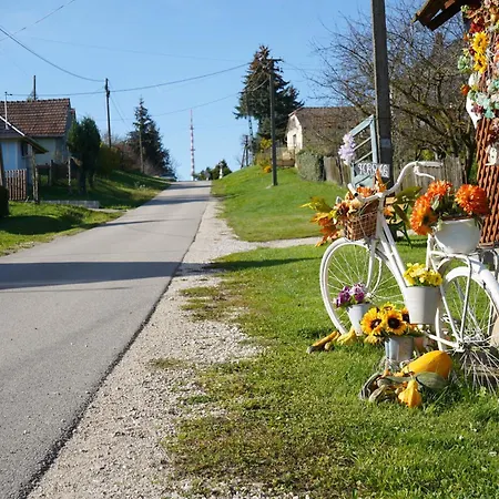 Zalaidill Wellness Vendeghaz 펜션 *