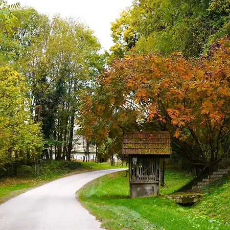 Zalaidill Wellness Vendeghaz Prázdninový dům *