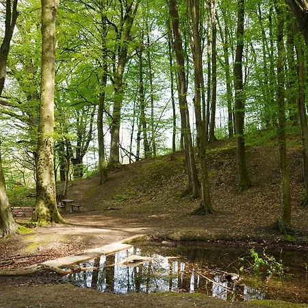 Prázdninový dům Zalaidill Wellness Vendeghaz Nagybakonak