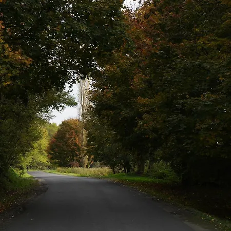 Zalaidill Wellness Vendeghaz Nagybakonak