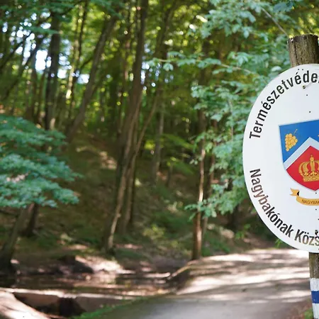 Zalaidill Wellness Vendeghaz Prázdninový dům *