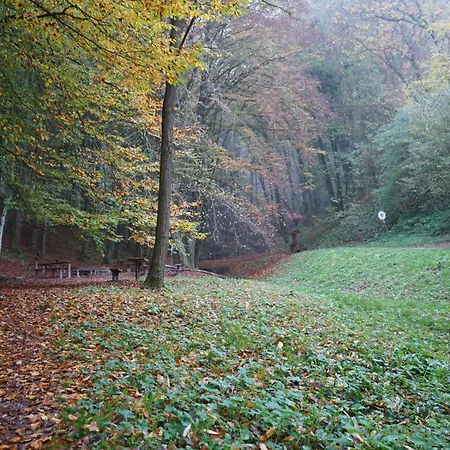 Zalaidill Wellness Vendeghaz 펜션