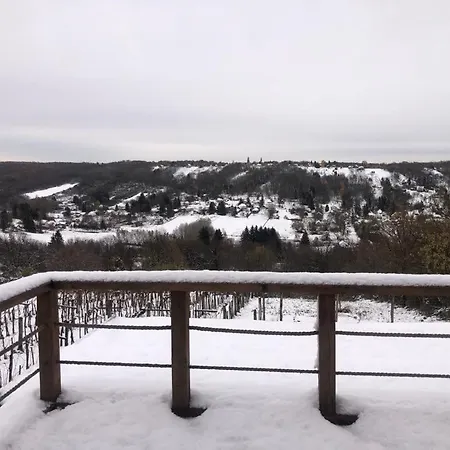 펜션 Zalaidill Wellness Vendeghaz