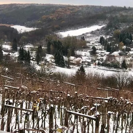 Zalaidill Wellness Vendeghaz 펜션