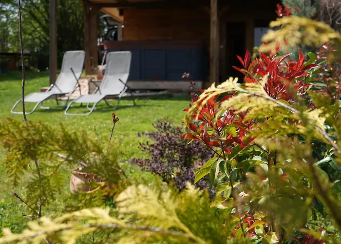 Zalaidill Wellness Vendeghaz Holiday home