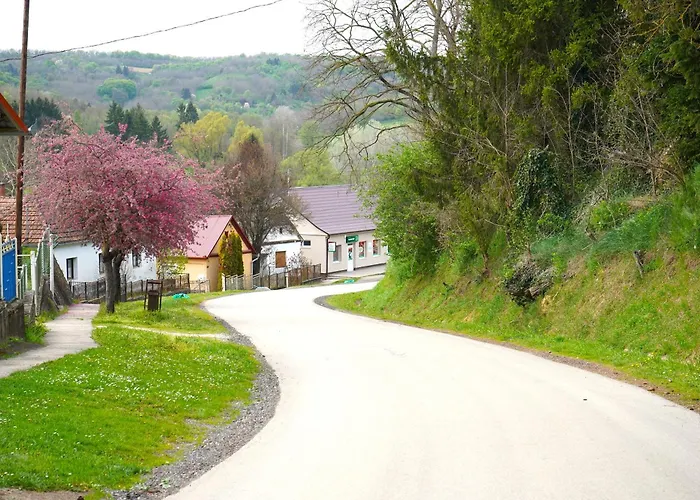 Zalaidill Wellness Vendeghaz *