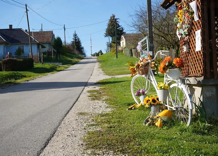 Zalaidill Wellness Vendeghaz Holiday home *