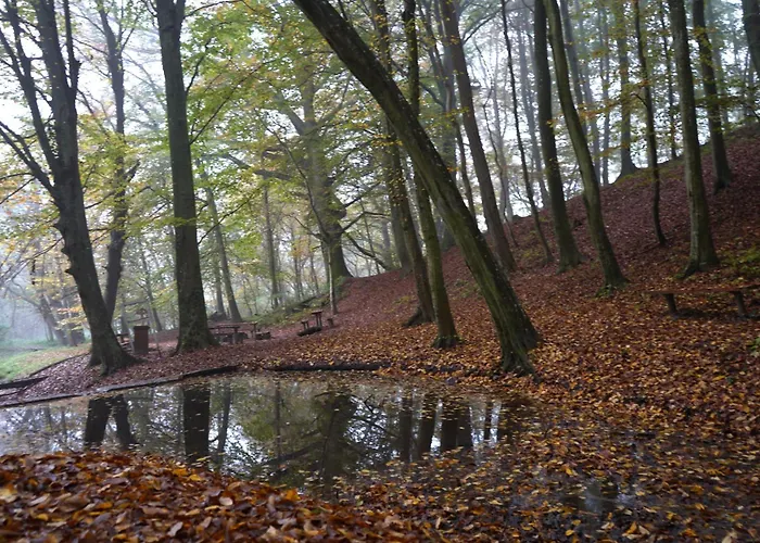 Zalaidill Wellness Vendeghaz *