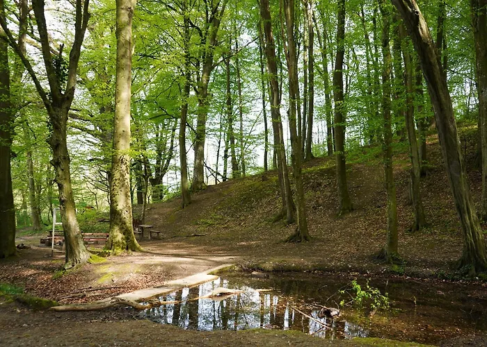 Holiday home Zalaidill Wellness Vendeghaz Nagybakonak