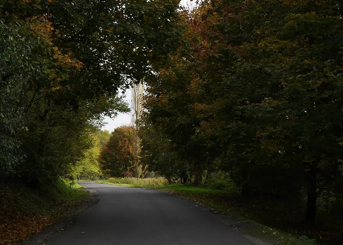 Zalaidill Wellness Vendeghaz Nagybakonak