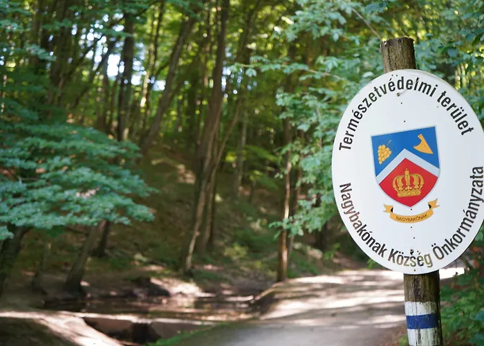 Zalaidill Wellness Vendeghaz Holiday home *