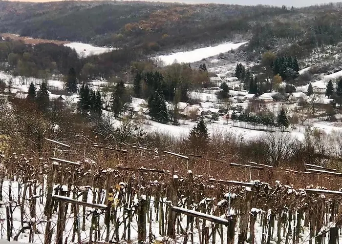 Zalaidill Wellness Vendeghaz Holiday home